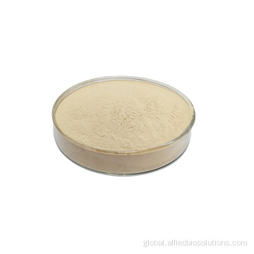 Food Emulsifying Agent Best quality gelatin powder Supplier